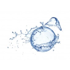 Фотообои - Фрукты из воды