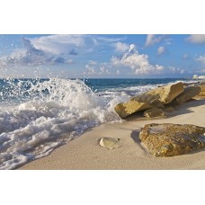 Фотообои - Морская пена