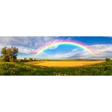 Фотообои - Радуга над полями