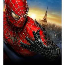 Фотообои - Spider Man